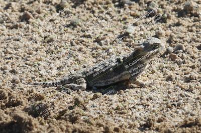 media/Sep-20-2025-Race Pace (Sat) [[d4e1b33f4d]]/1- Around the Pits/